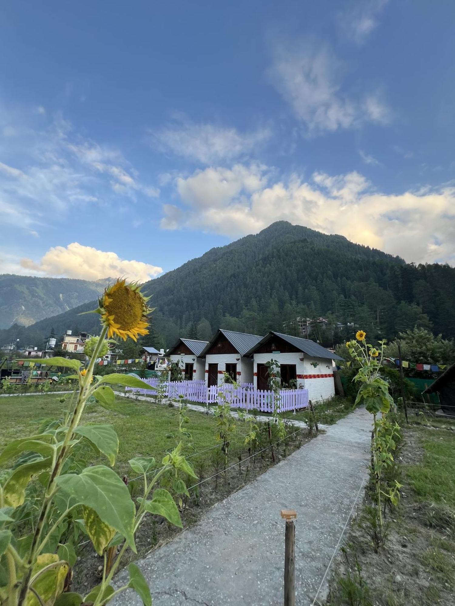 Himtrek Stay Kasol Exterior foto